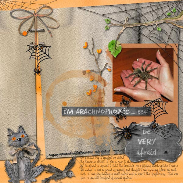 Arachnaphobe