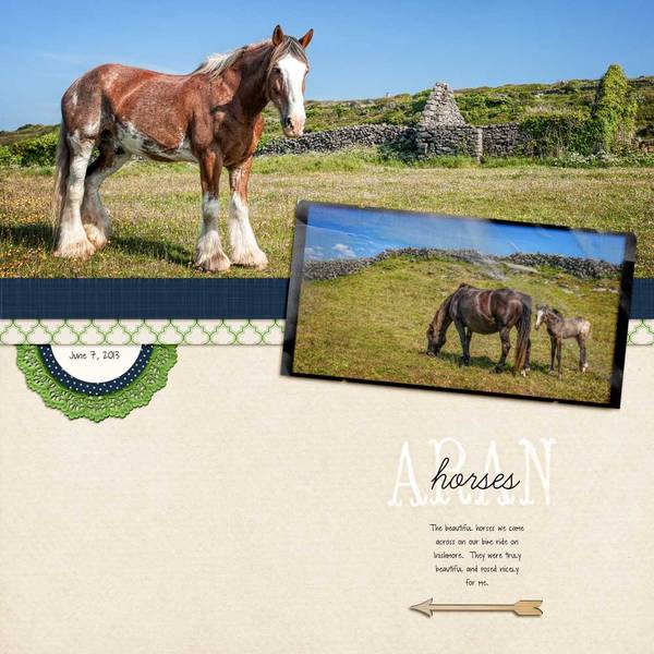 Aran Horses