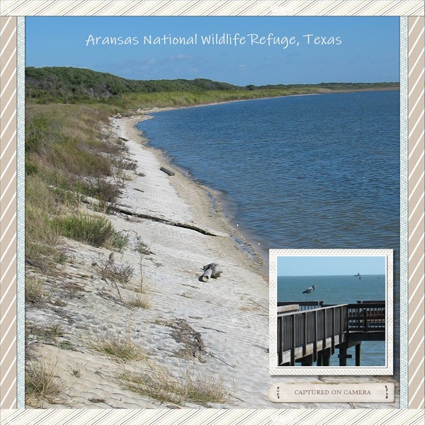 Aransas National Wildlife Refuge, Texas