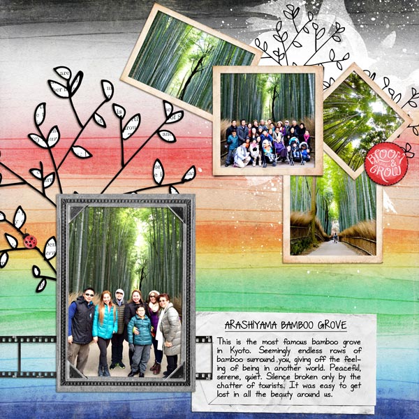 Arashiyama Bamboo Grove