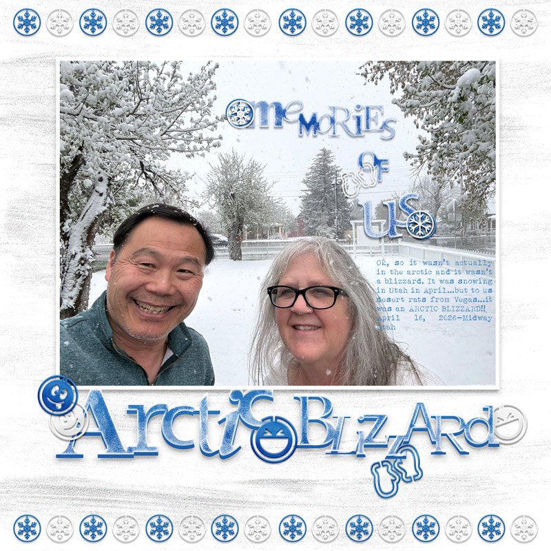 Arctic blizzard.jpg