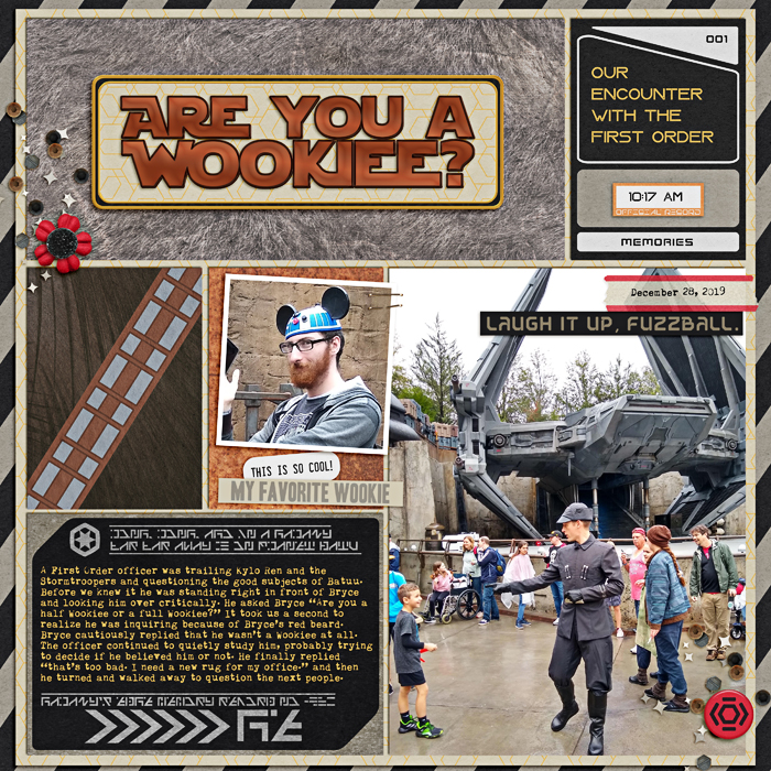 Are You A Wookiee