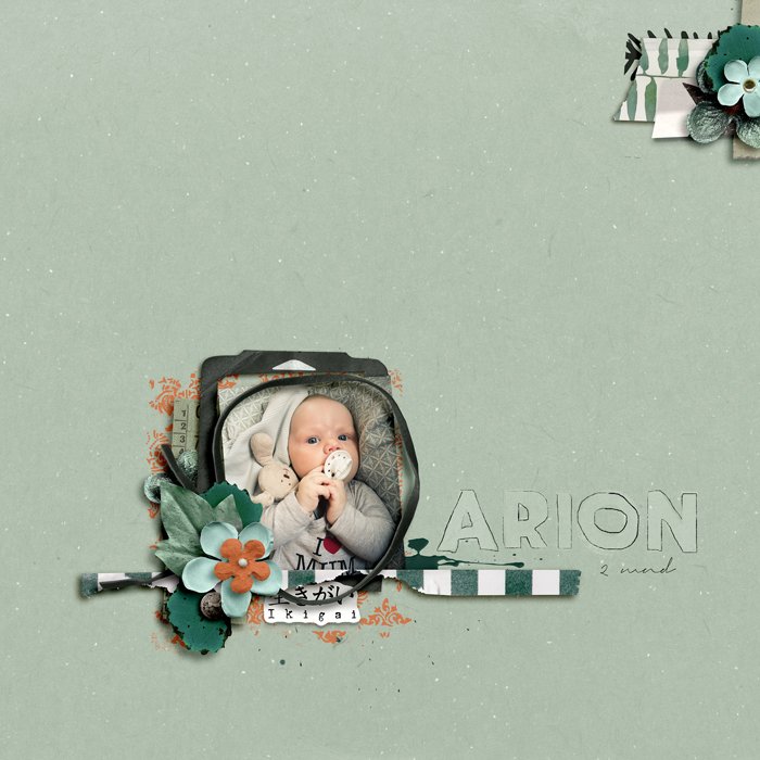 Arion, 2 months