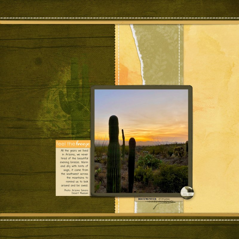 Arizona Memories