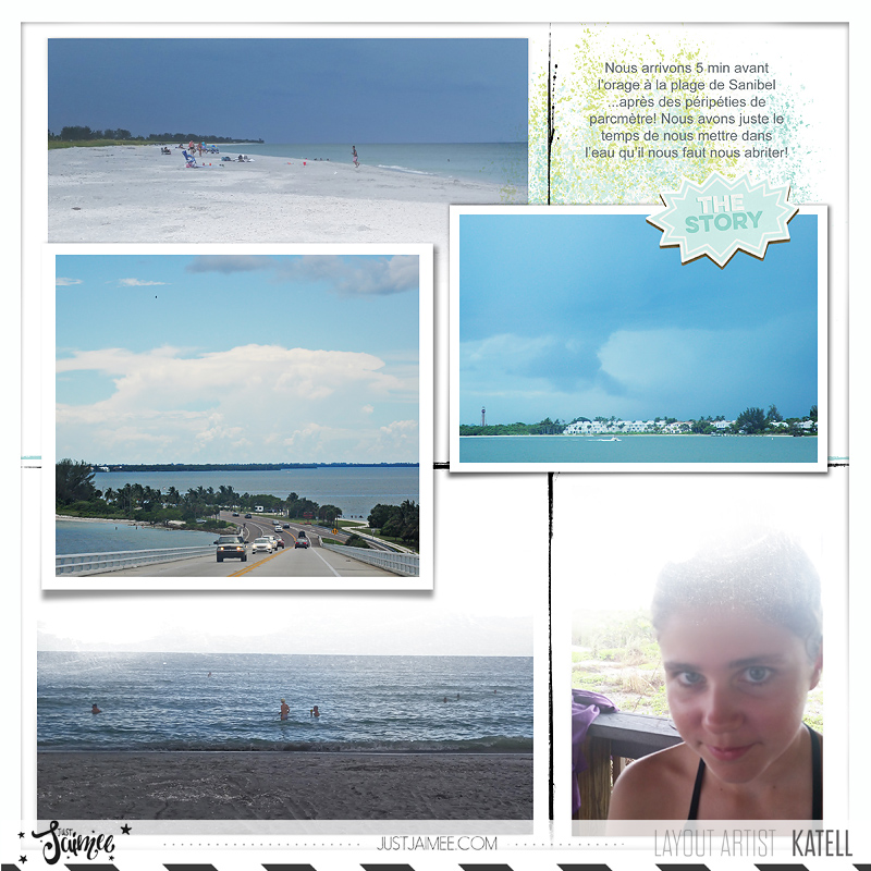 Arr Plage Sanibel Copie