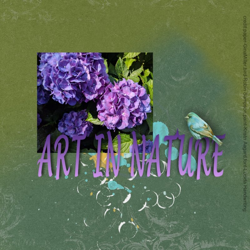 Art in Nature