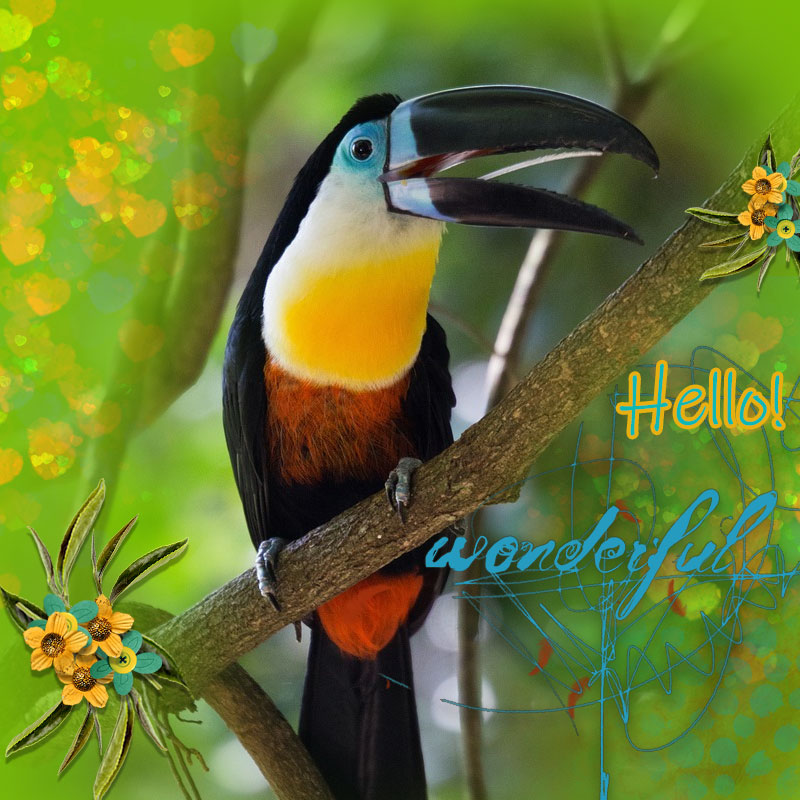 Art-Journaling-Challenge_Bird