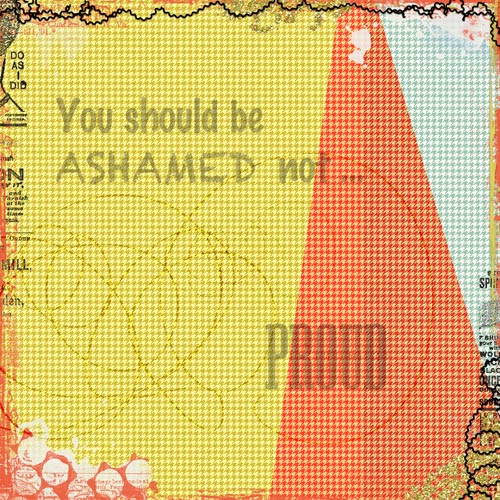 Ashamed not Proud