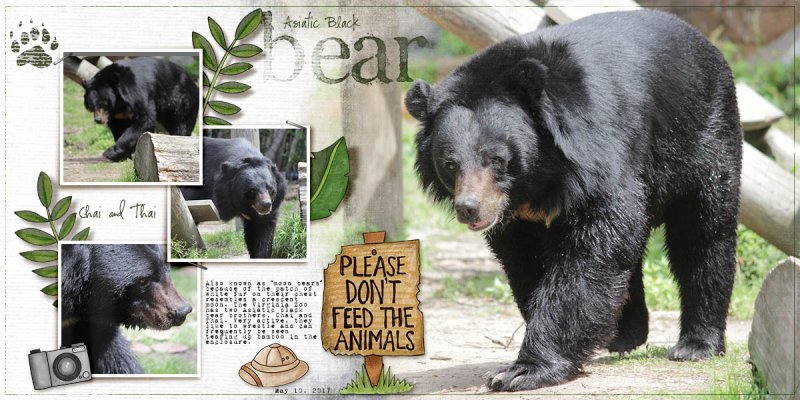 Asiatic Black Bear (June Style Challenge)
