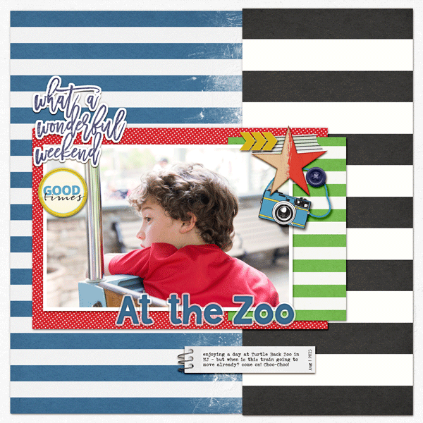 At the Zoo