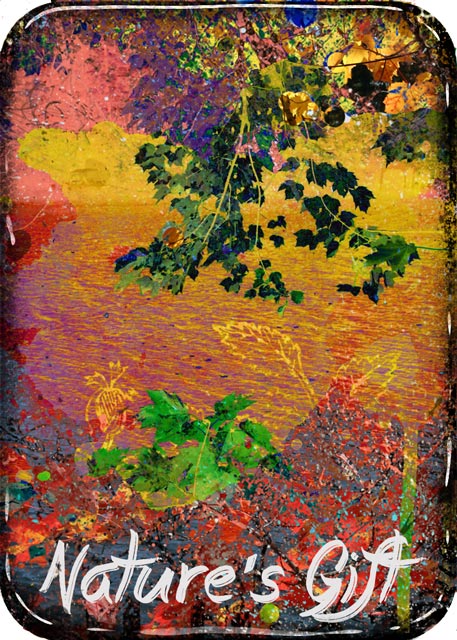 ATC 2015-44 Nature