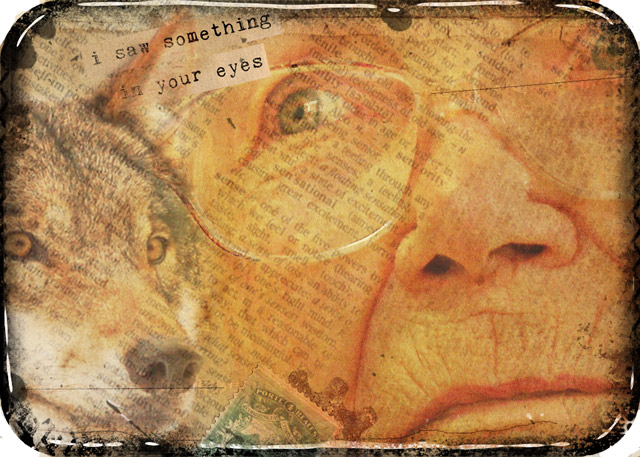 ATC 2015-47 I Saw Something...