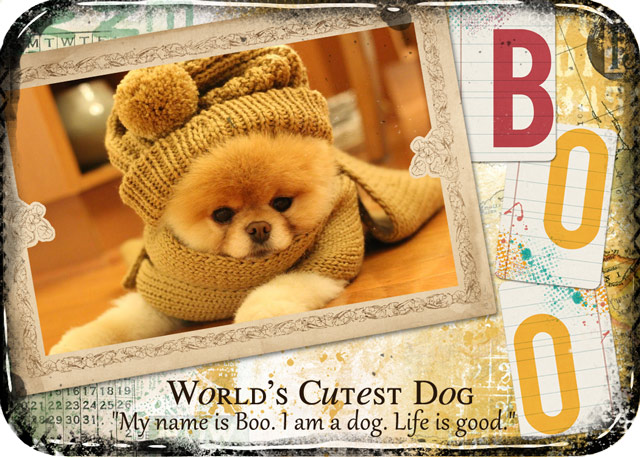 ATC 2015-51 Boo