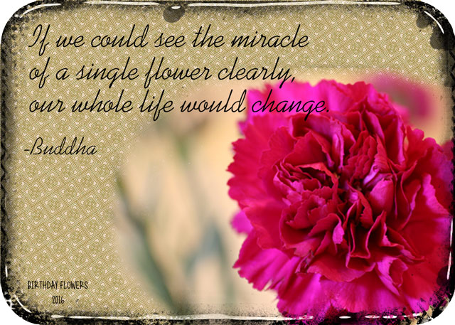 ATC-2016-21-Miracle-Flower