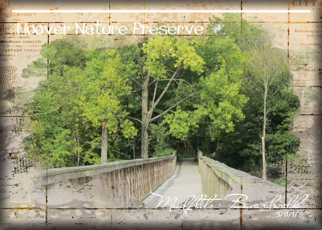 ATC-2017-141-Hoover-Nature-Preserve