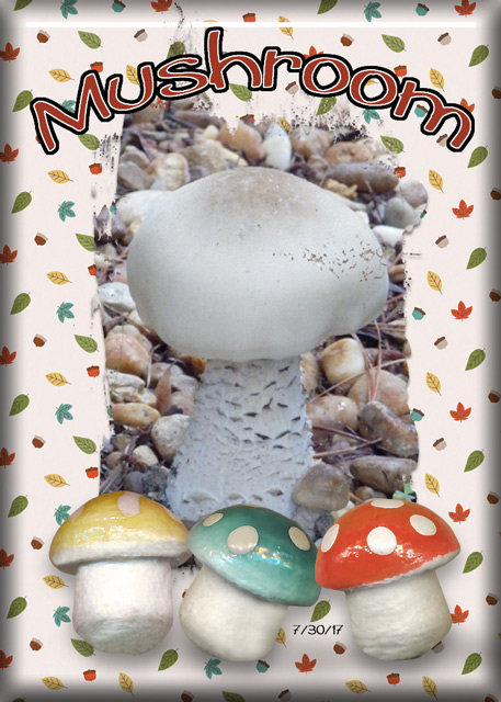 ATC-2017-142-Mushroom