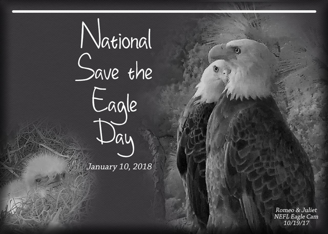 ATC-2018-008-National-Save-the-Eagle-Day