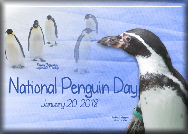 ATC-2018-011-National-Penguin-Day