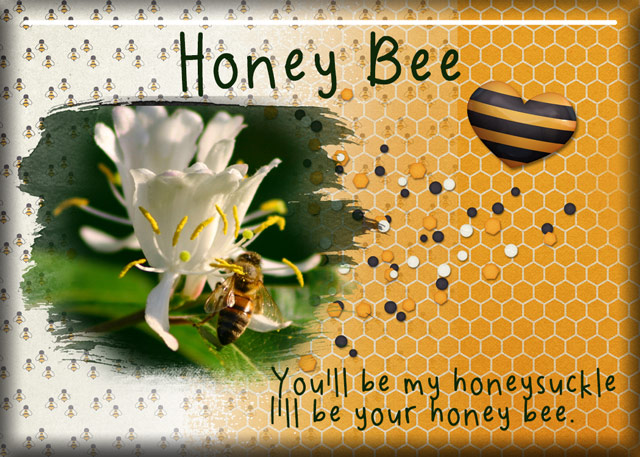 ATC-2018-034-Honey-Bee