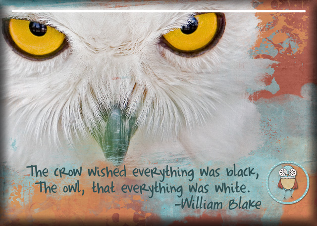 ATC-2018-061-The-Crow-&-The-Owl