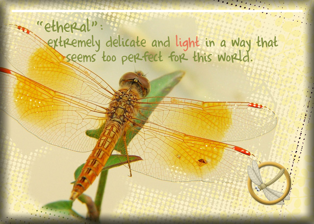 ATC-2018-063-The-Dragonfly