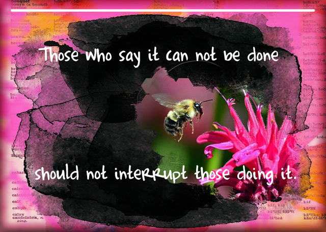 ATC-2018-115-Those-Who-Say