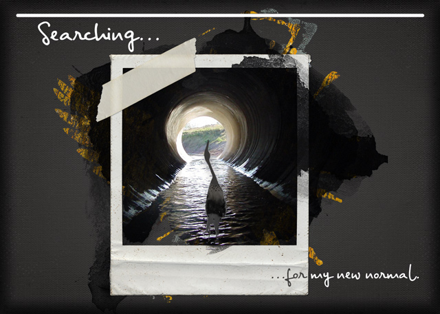 ATC-2019-124-Searching
