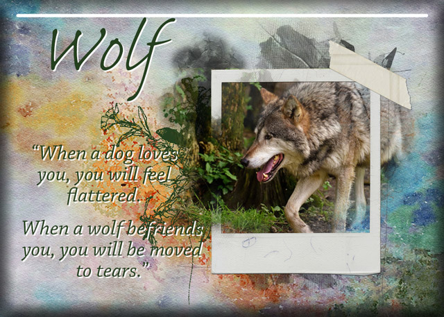 ATC-2019-141-Wolf
