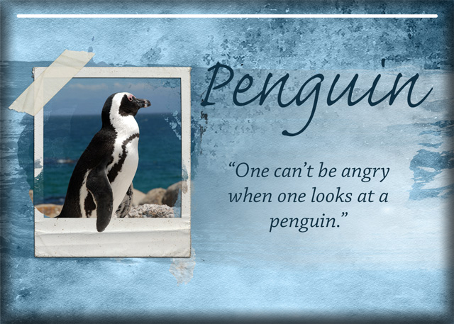 ATC-2019-142-Penguin