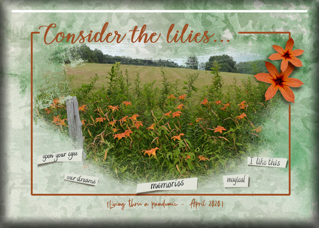 ATC-2020-066-Consider-the-Lilies