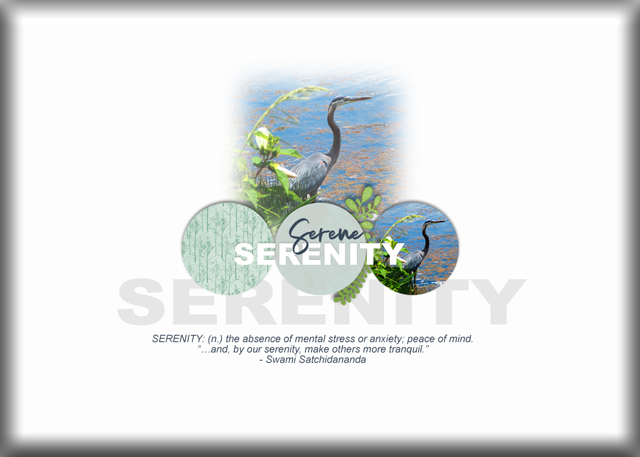 ATC-2020-092-Serenity