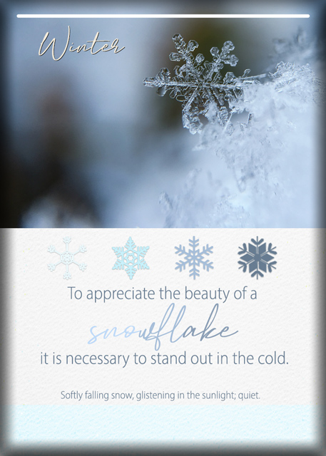 ATC-2020-142-Winter