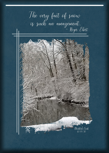ATC-2020-173-The-Very-Fact-of-Snow