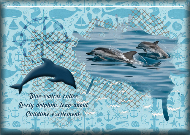 ATC-2021-025-Blue-Waters-Entice