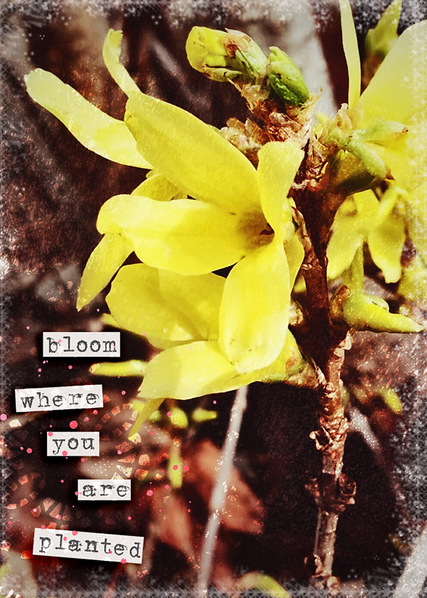 ATC_Spring