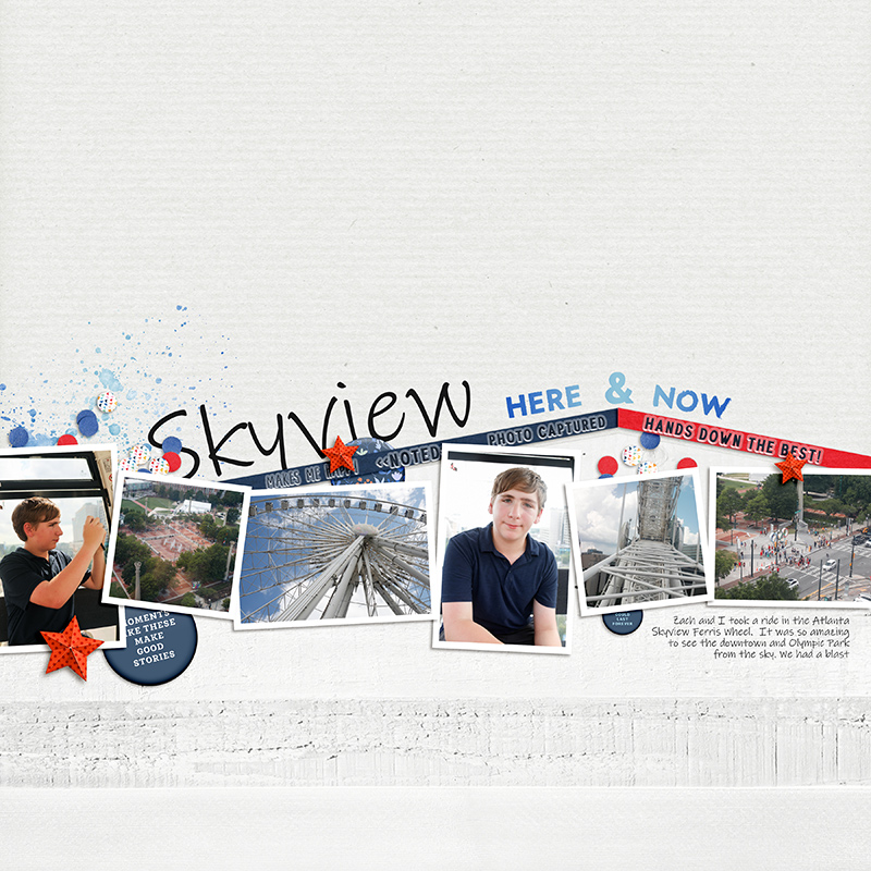 Atlanta Skyview