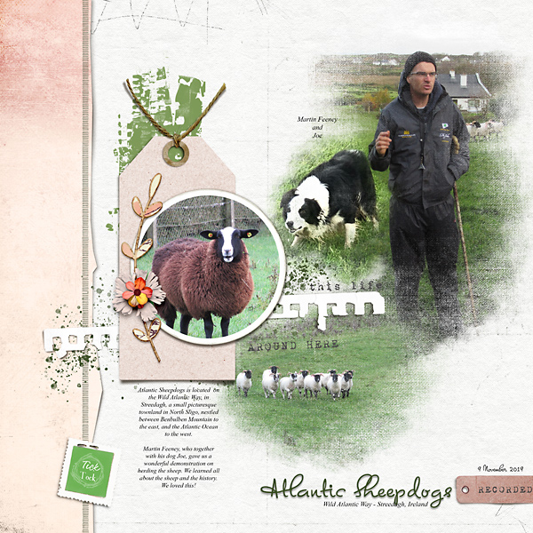 Atlantic Sheepdogs