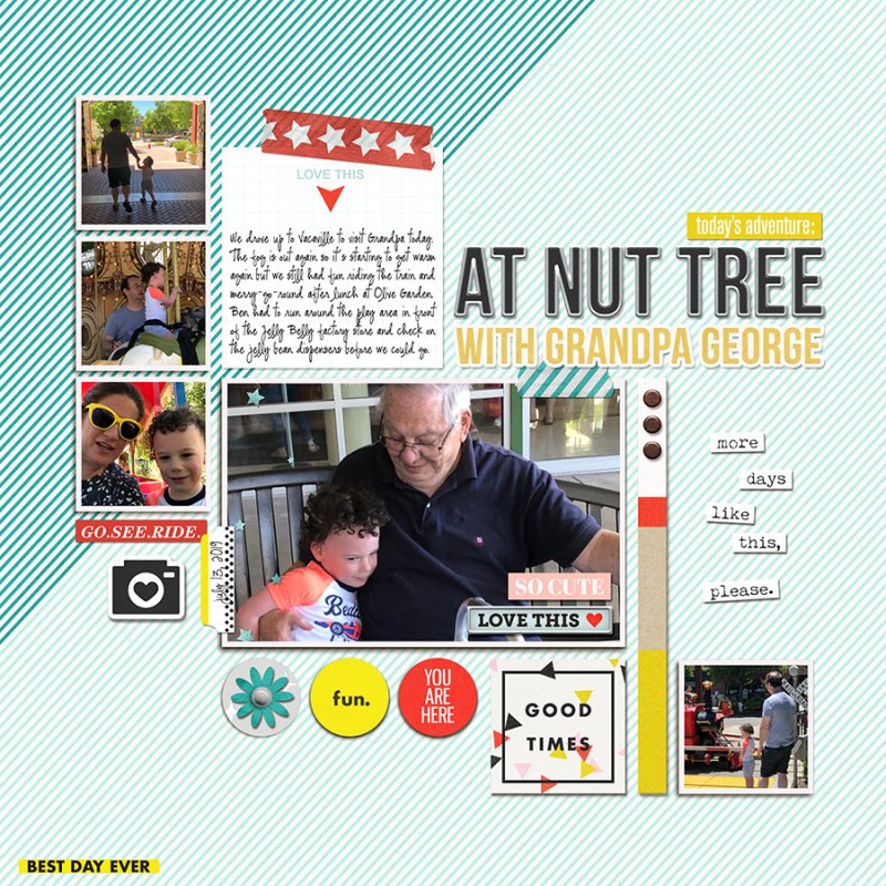AtNutTree072019SSBTC