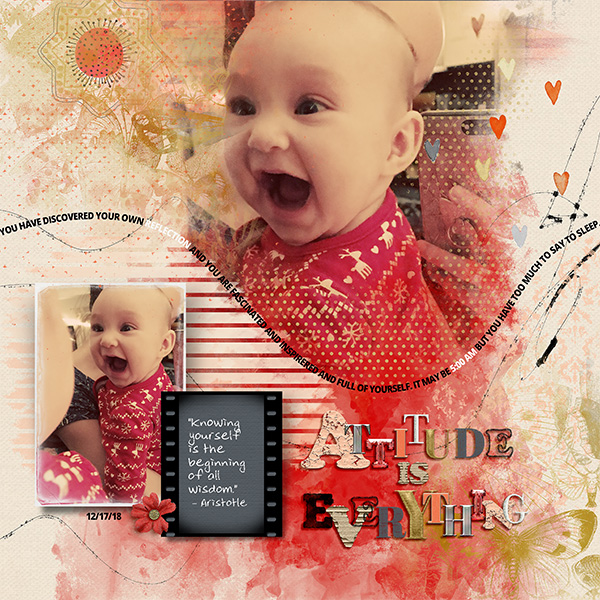 Attitude