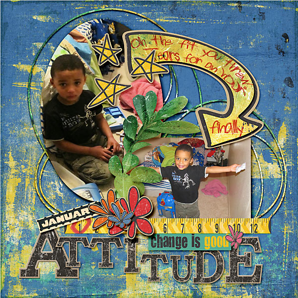 Attitude