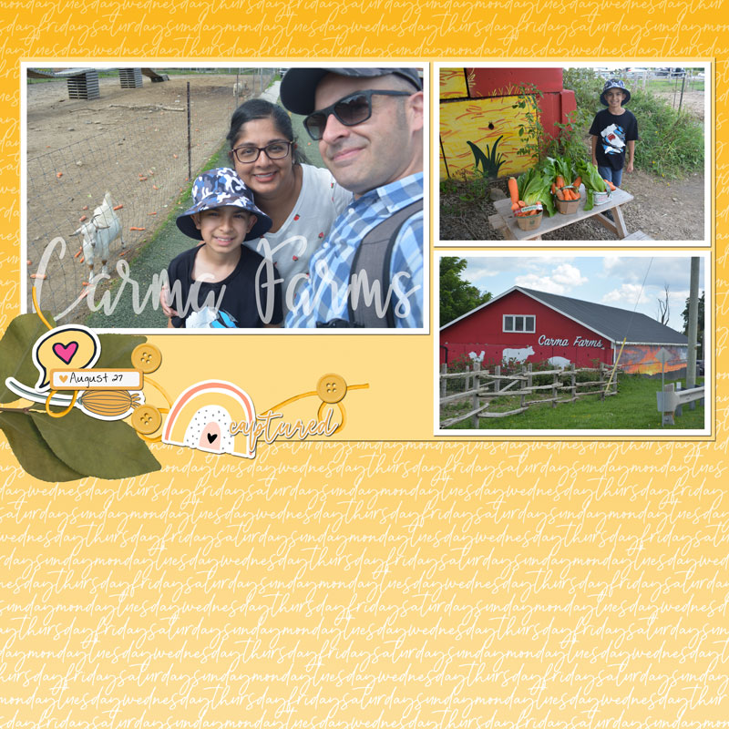 Aug-2024-Dunia-Challenge