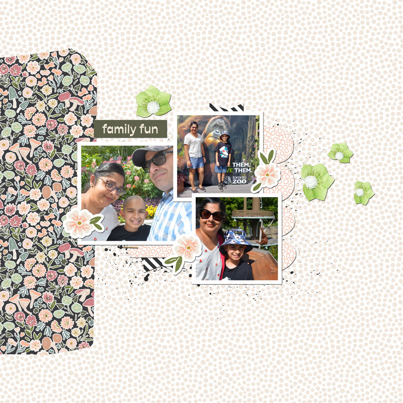 Aug-2024-TLP-monthly-Template