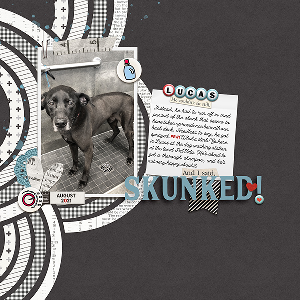 Aug 21 Template Challenge: Skunked