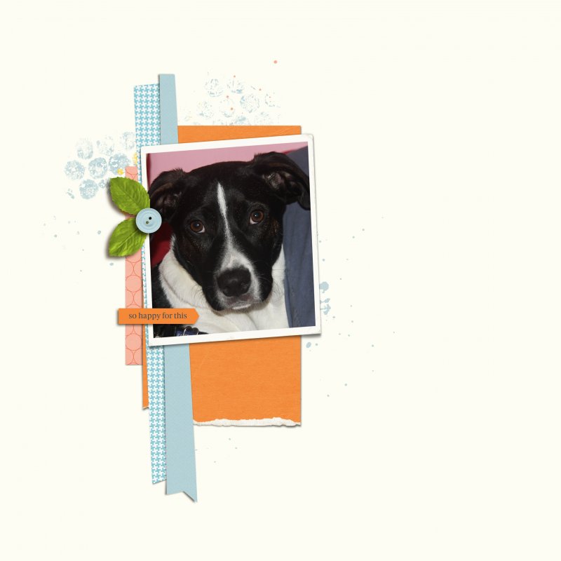 Aug-scraplift
