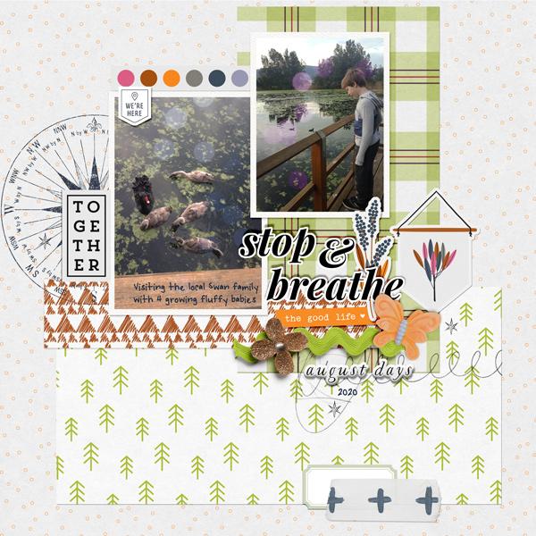 AugScraplift-the swannies