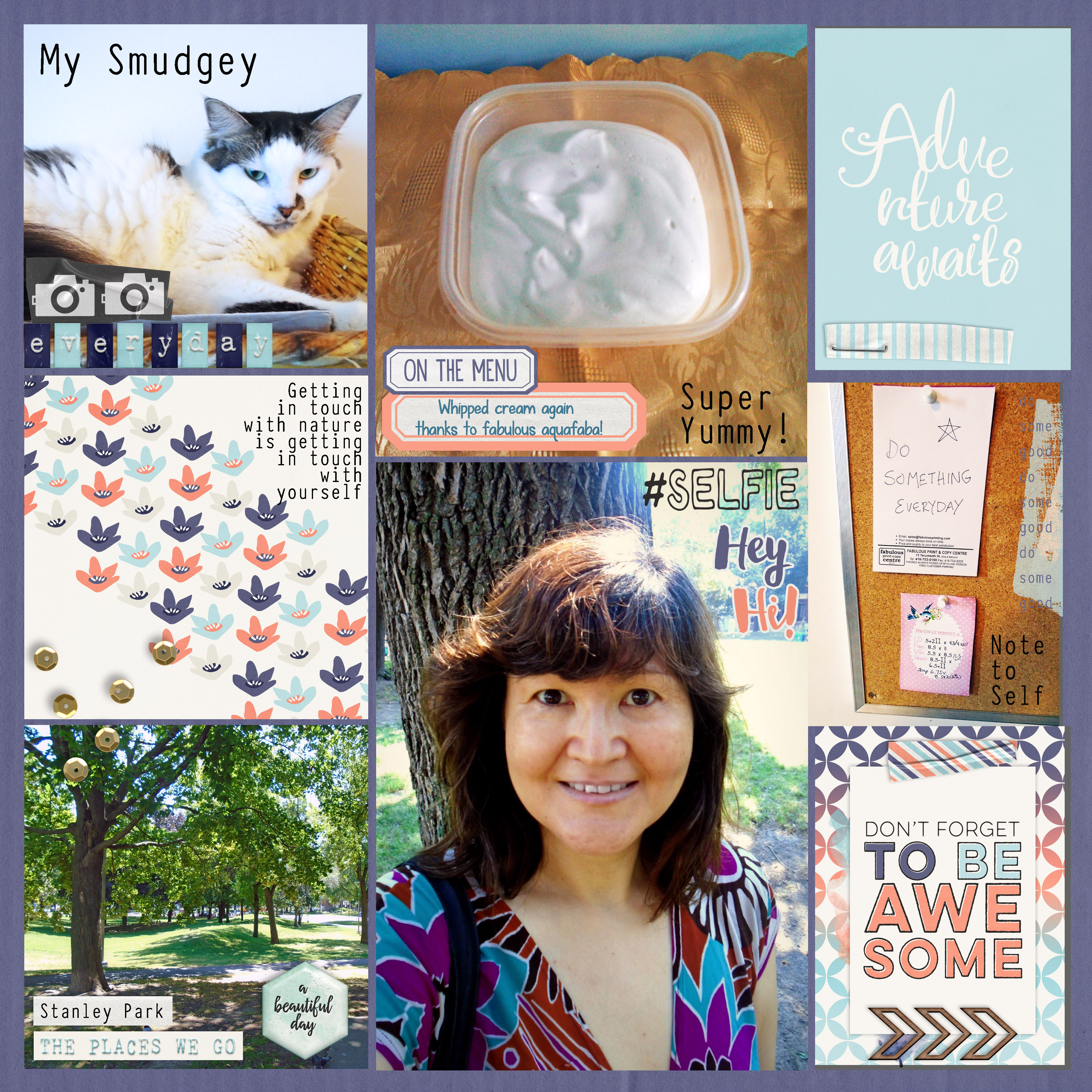 August 2015 Pocket Life