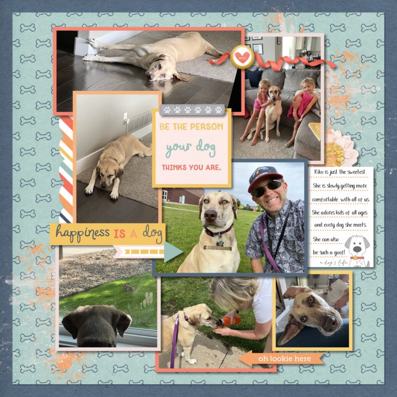 August 2023 MIS Template Challenge