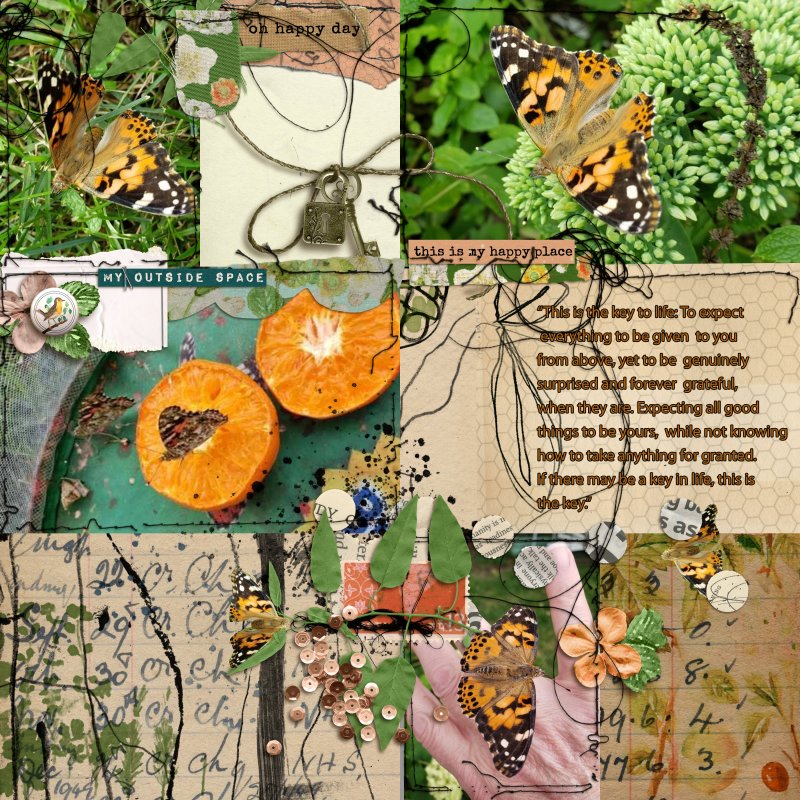 August 29th 2021 Painted Lady Freedom Day