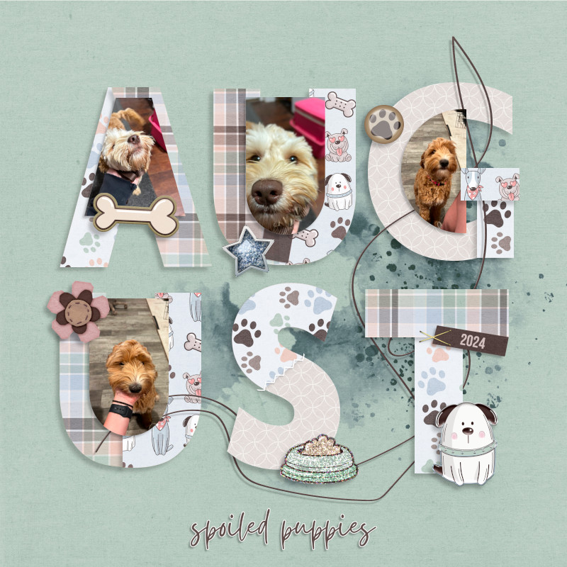 August Puppies