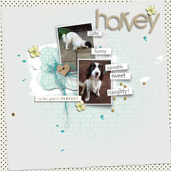 August Template Challenge